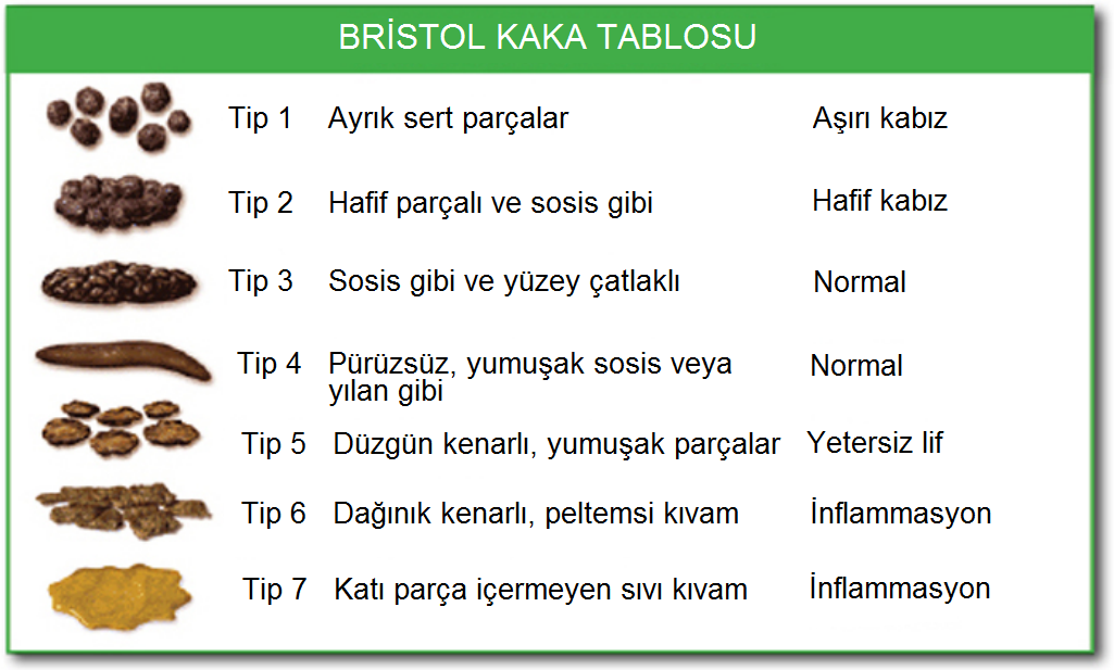 Bristol Bebek Kakası Skalası