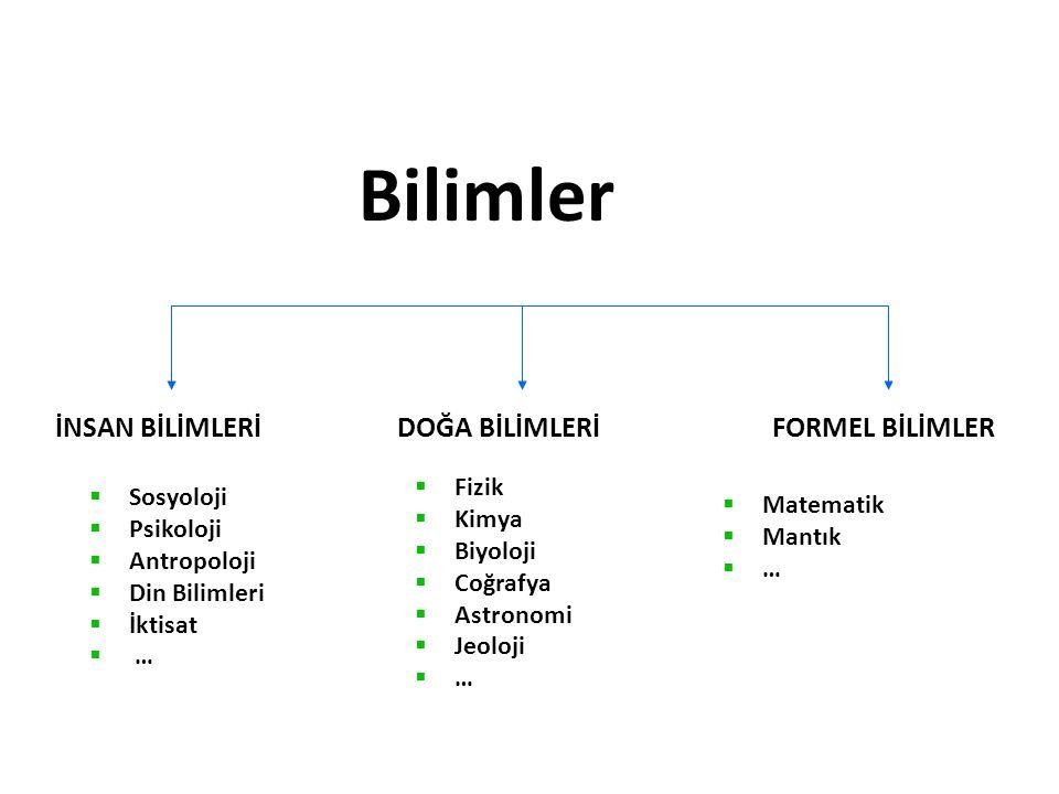 Bilimlerin Sınıflandırılması Şeması