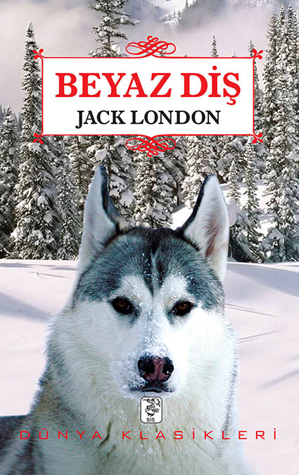 Jack London / Beyaz Diş Romanı Kapağı