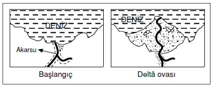 Delta ovası nasıl oluşur