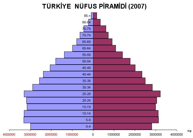 Türkiye Nüfus Piramidi