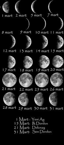 Ayın Evreleri resimleri