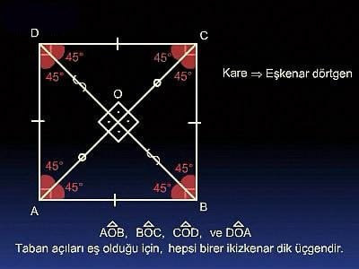 Karenin Özellikleri Slaytı Ön Kapak