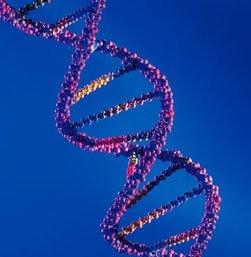 Genetik ve Biyomühendislik