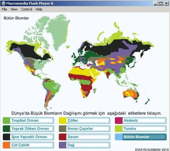 Biyom Nedir