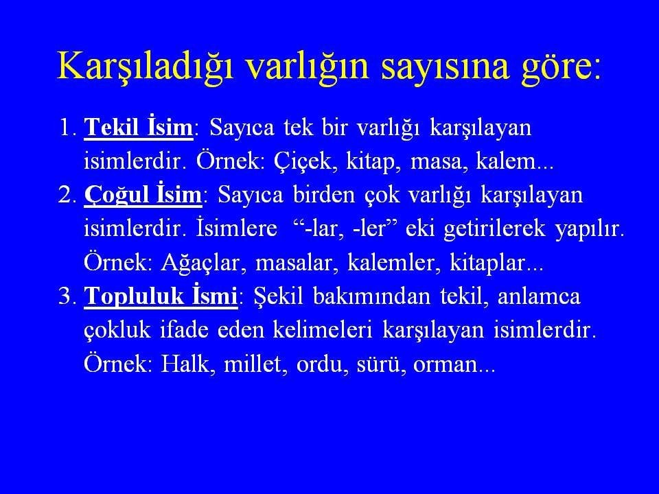 Tekil Isim Nedir